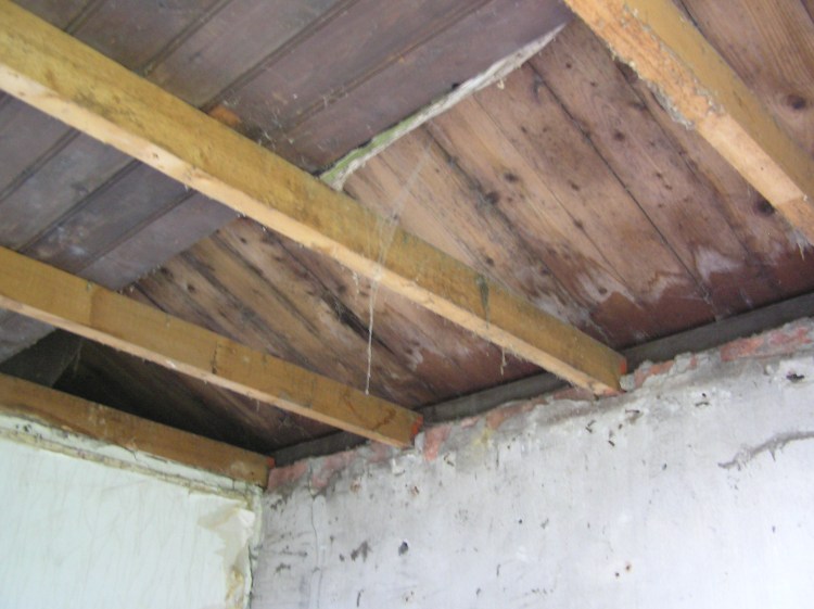 Roof infested with termites