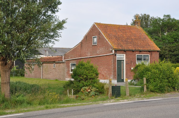 Rear of the house